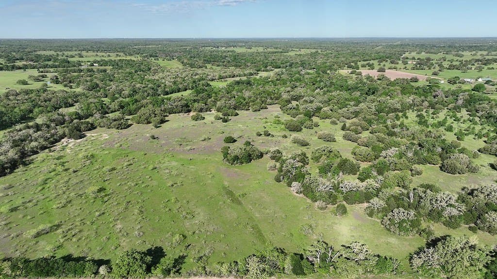 254 acres in Lee County - photo 7