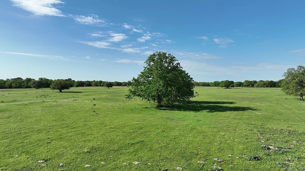254 acres in Lee County - photo 26