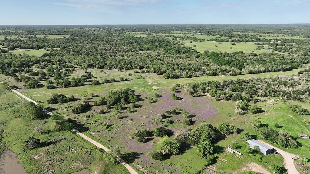 254 acres in Lee County - photo 9