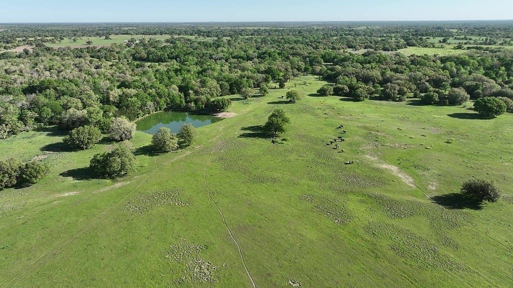 254 acres in Lee County - photo 6