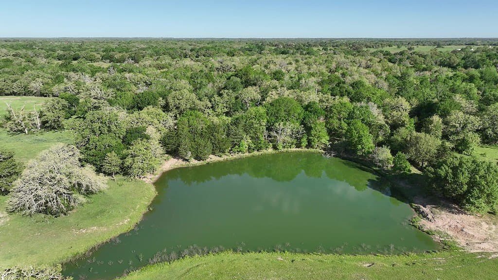 254 acres in Lee County - photo 5
