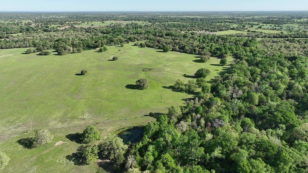 254 acres in Lee County - photo 18