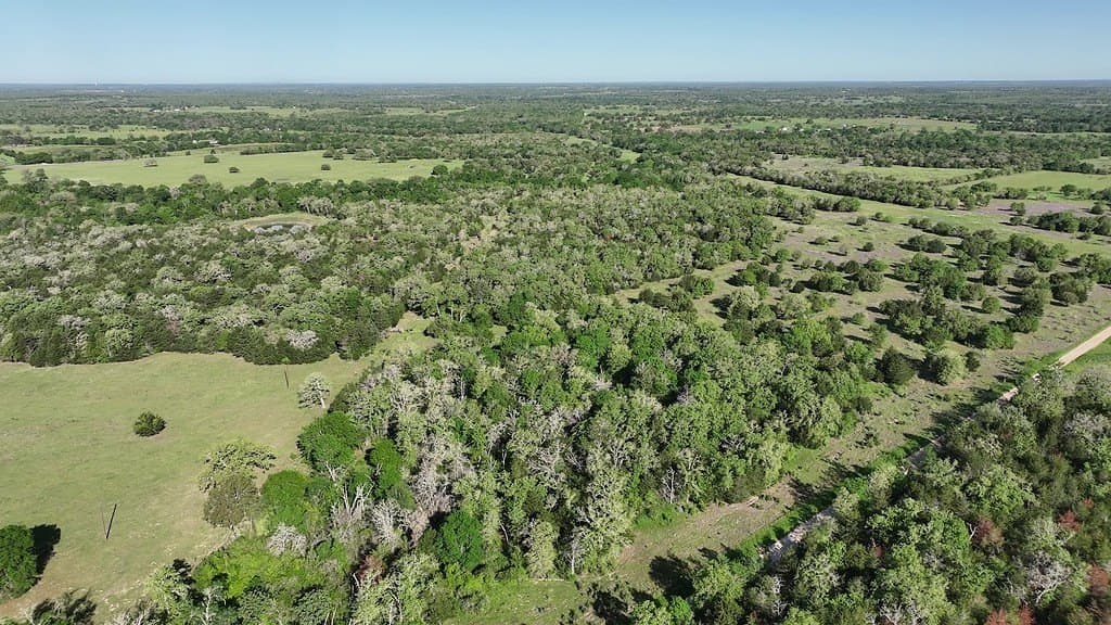 254 acres in Lee County - photo 12