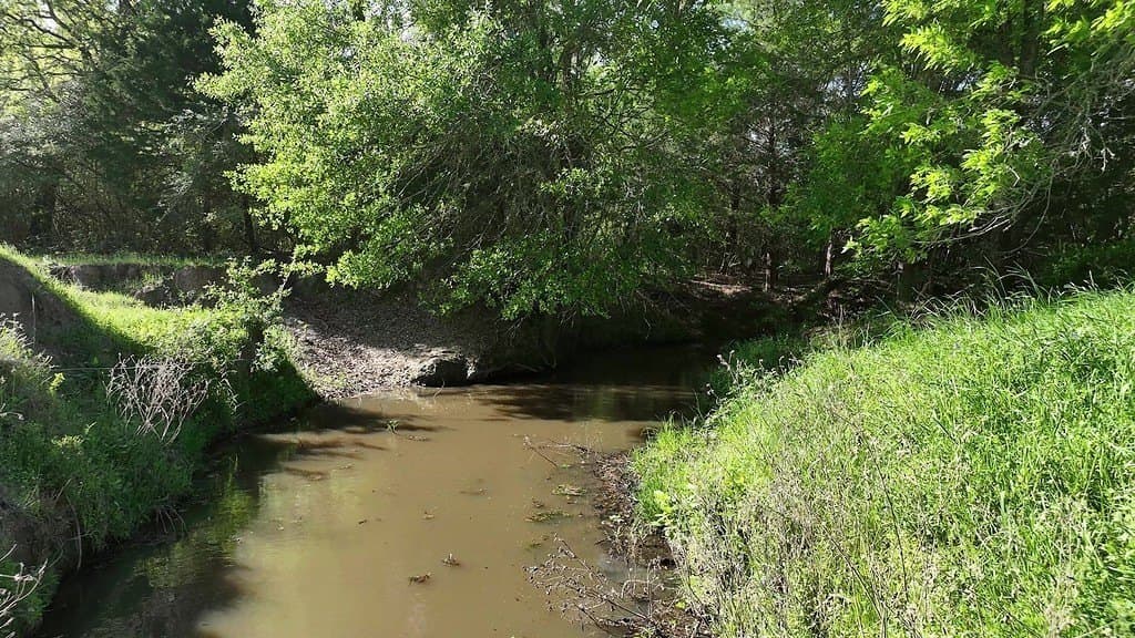 254 acres in Lee County - photo 29