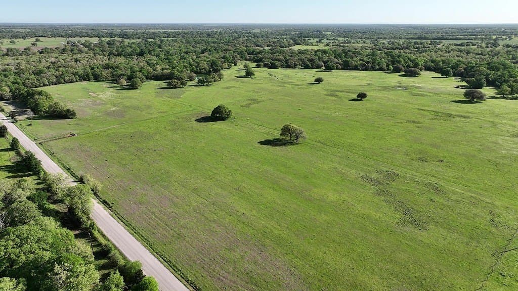 254 acres in Lee County - photo 24