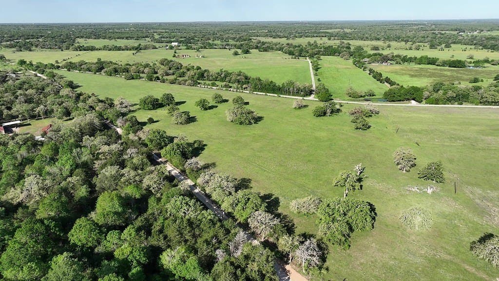 254 acres in Lee County - photo 21