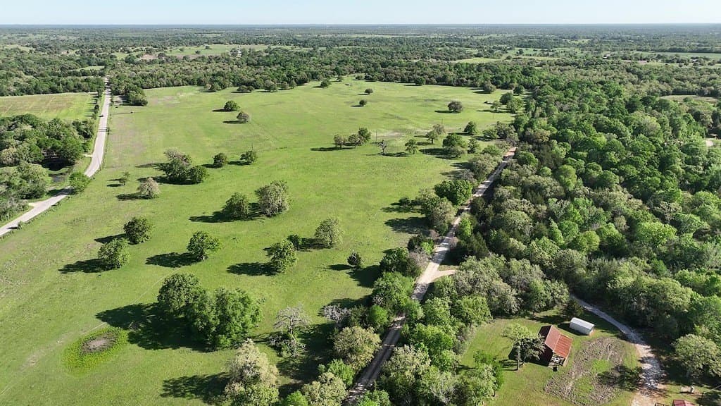 254 acres in Lee County - photo 20