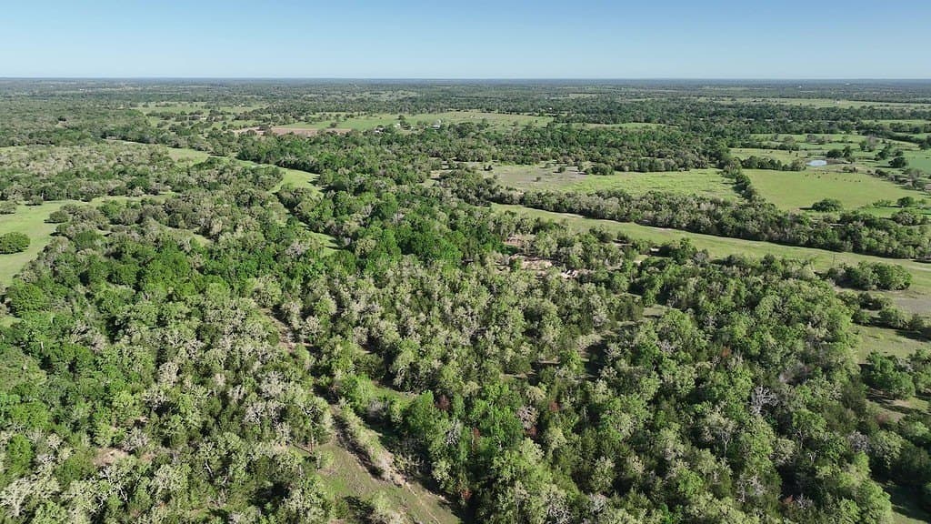 254 acres in Lee County - photo 15
