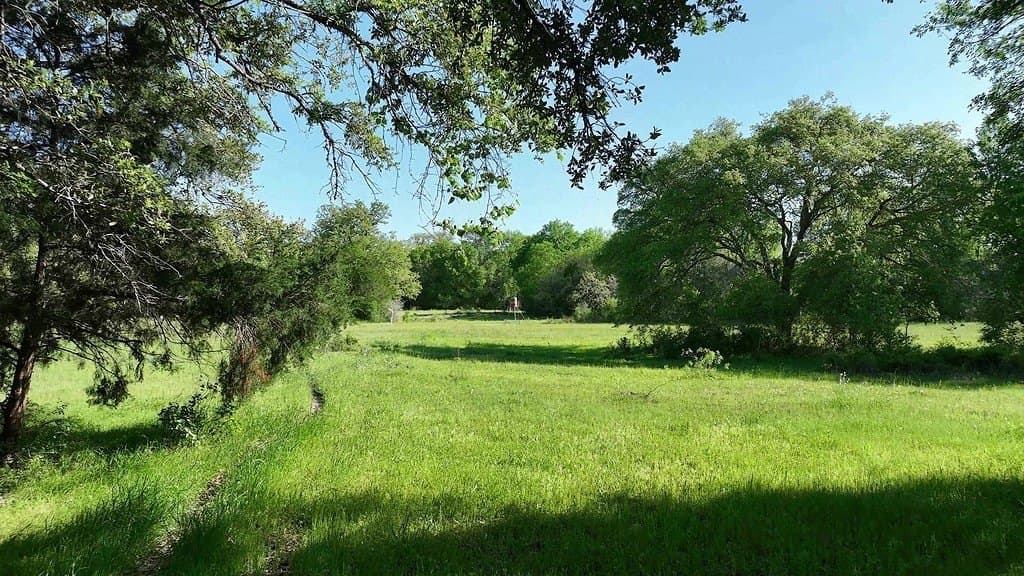 254 acres in Lee County - photo 3
