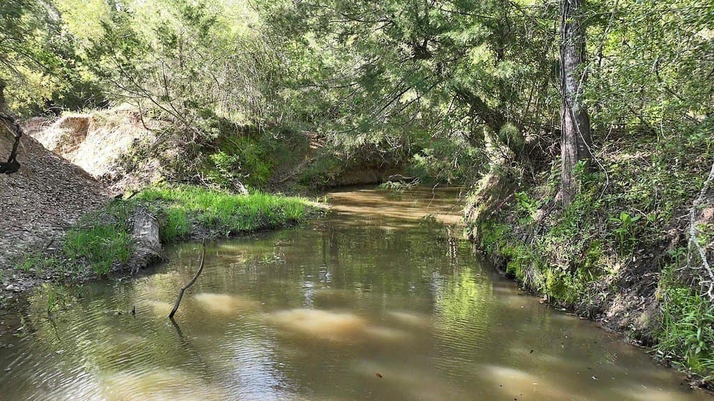254 acres in Lee County - photo 8