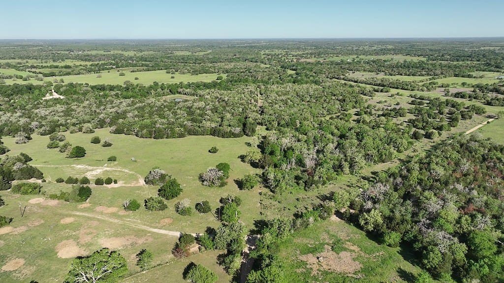 254 acres in Lee County - photo 13