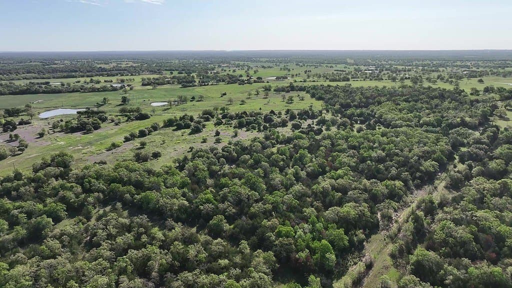 254 acres in Lee County - photo 14