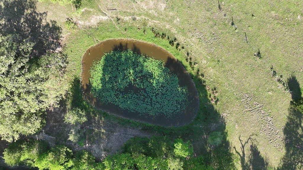 254 acres in Lee County - photo 17