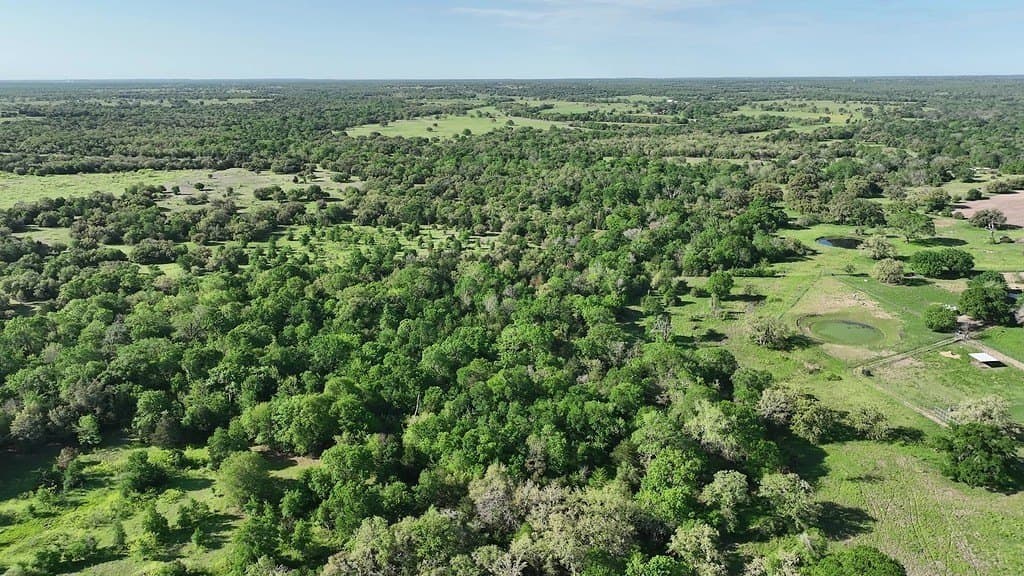 254 acres in Lee County - photo 30