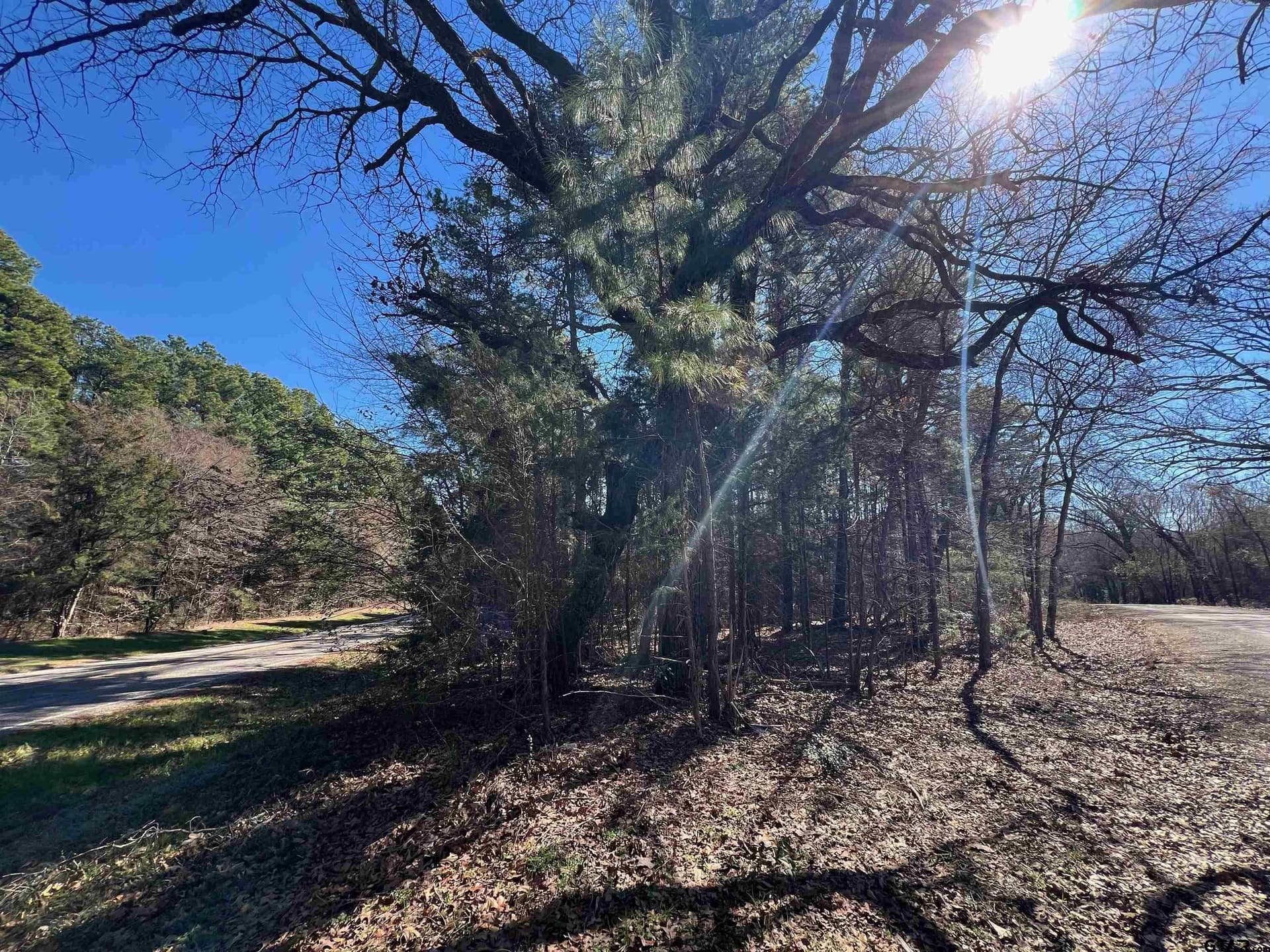 8 acres in Camp County - photo 3