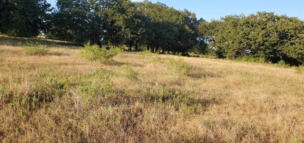 11.93 acres in Wise County - photo 5