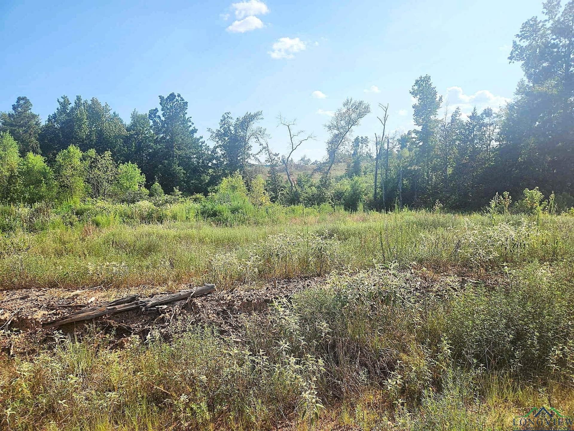 57.83 acres in Harrison County - photo 9