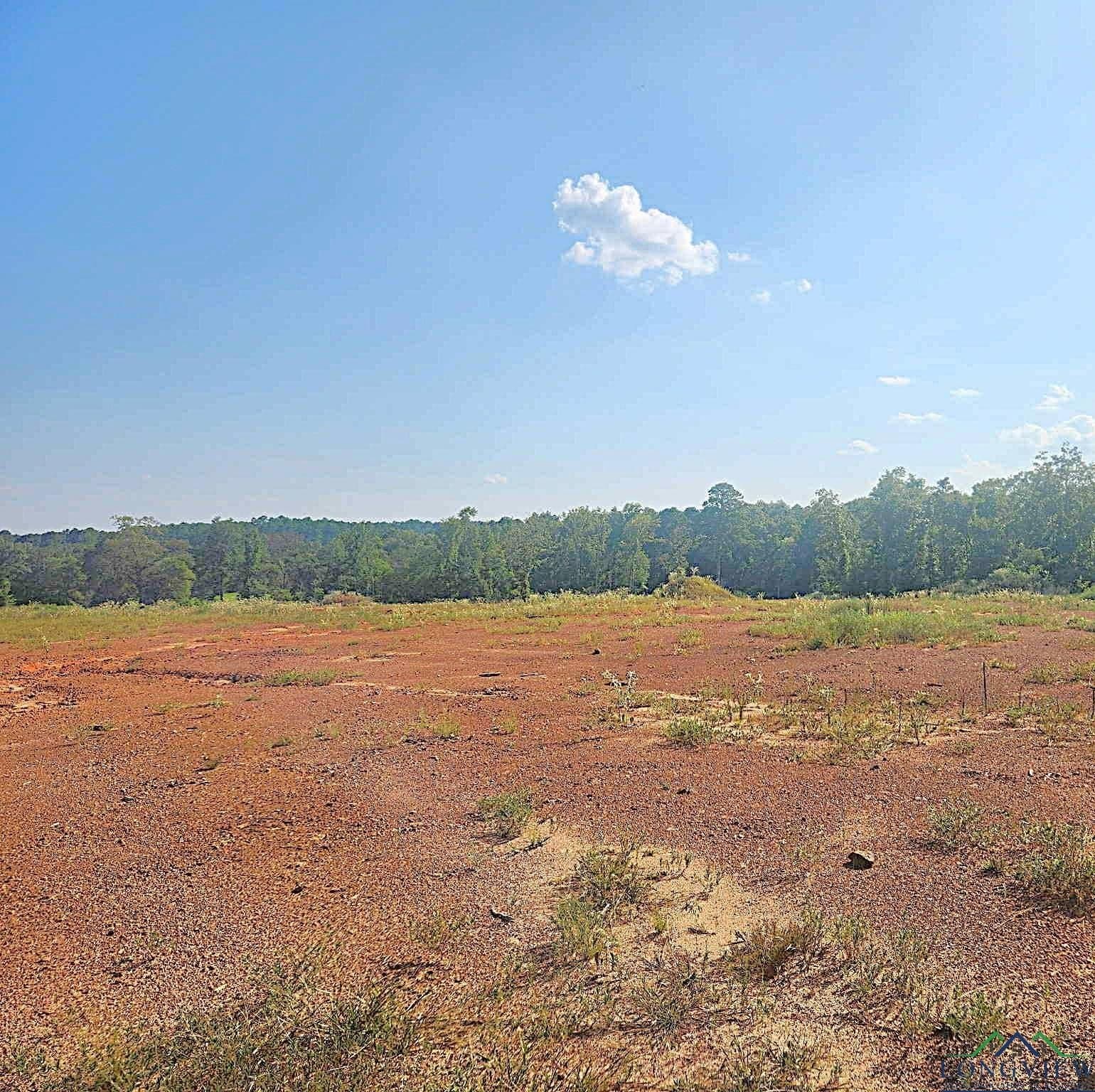 57.83 acres in Harrison County - photo 4