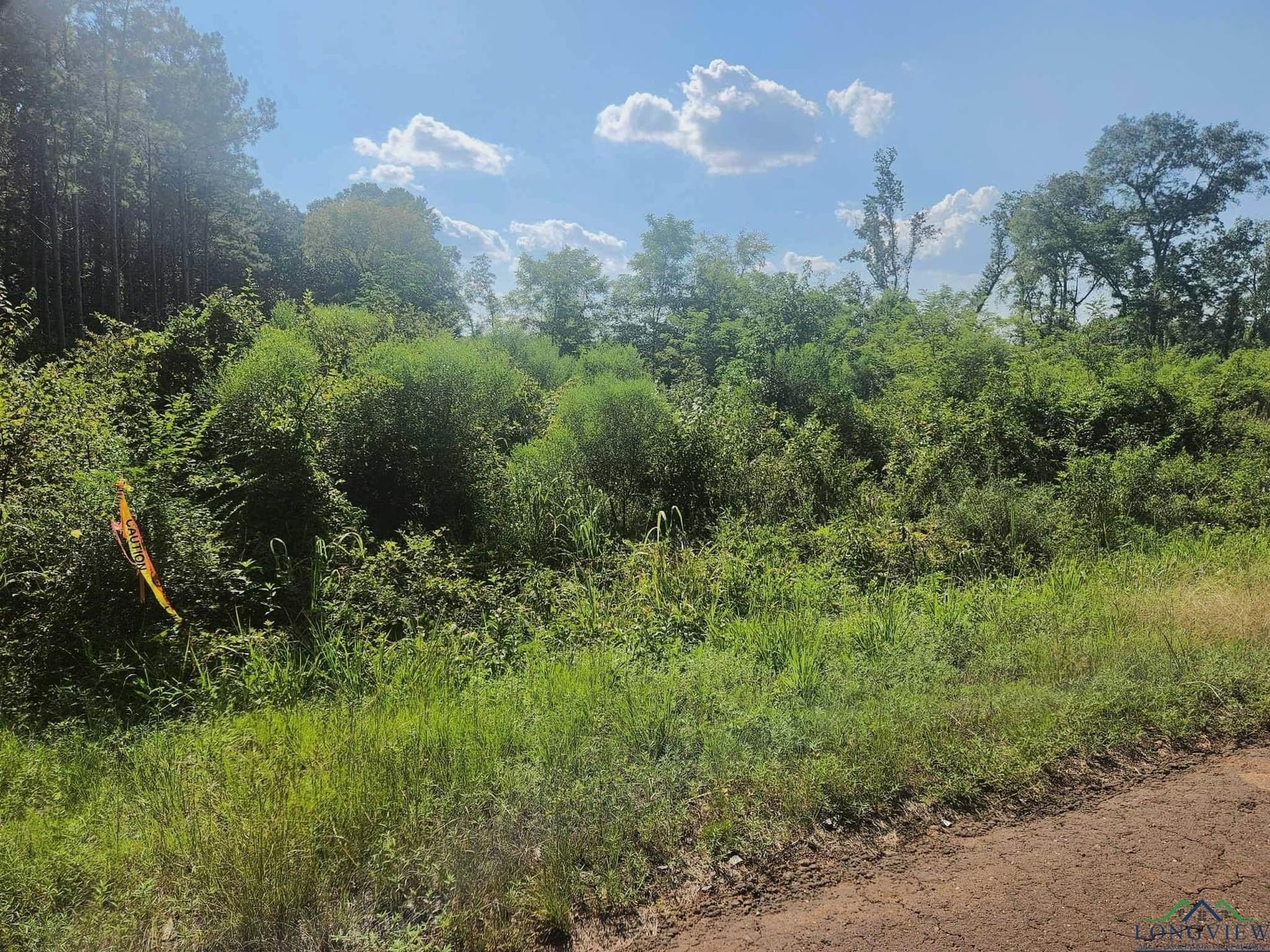 57.83 acres in Harrison County - photo 12