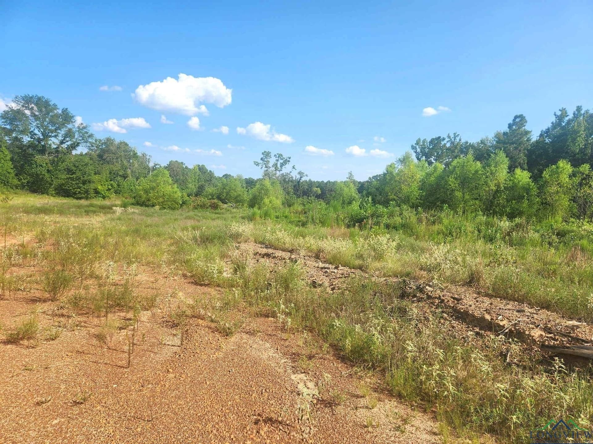 57.83 acres in Harrison County - photo 7