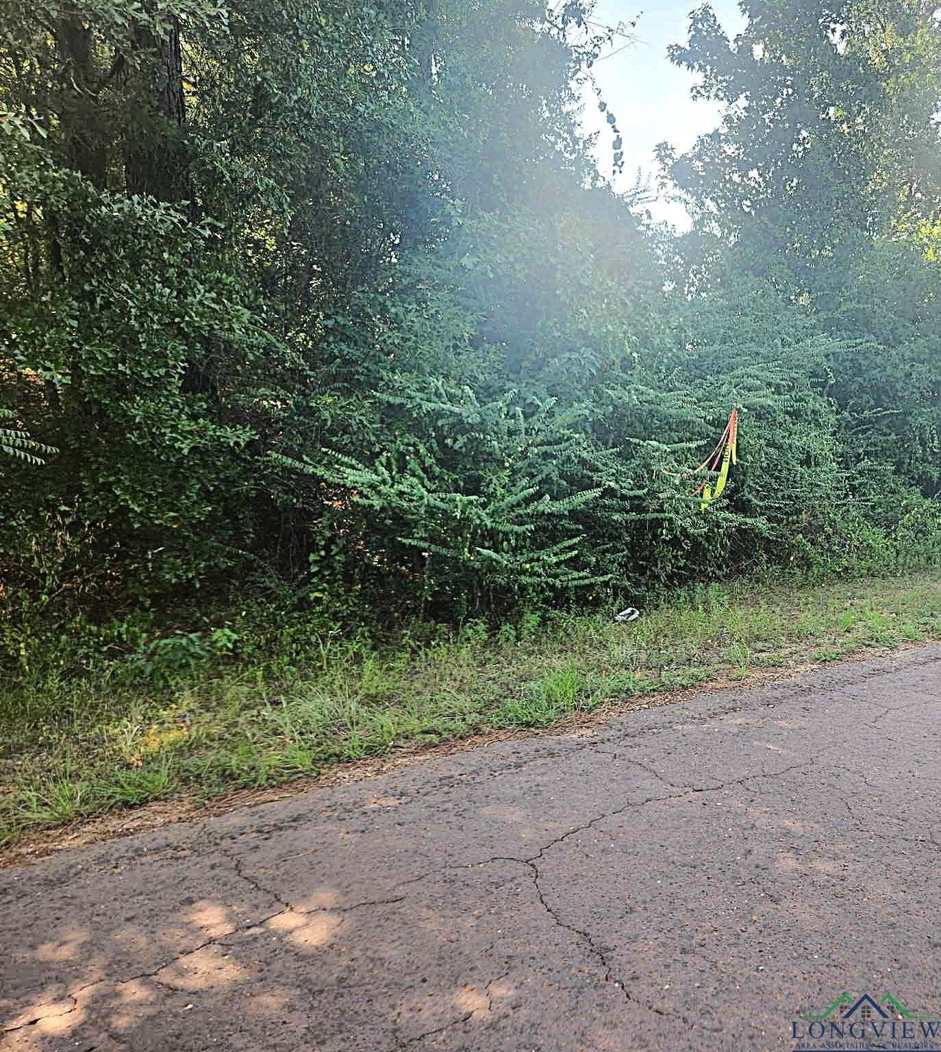 57.83 acres in Harrison County - photo 11