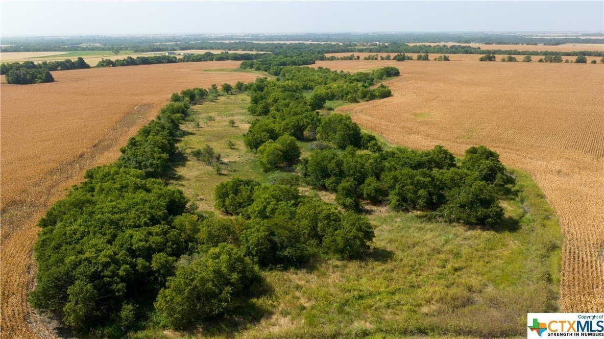 320 acres in Milam County - photo 17