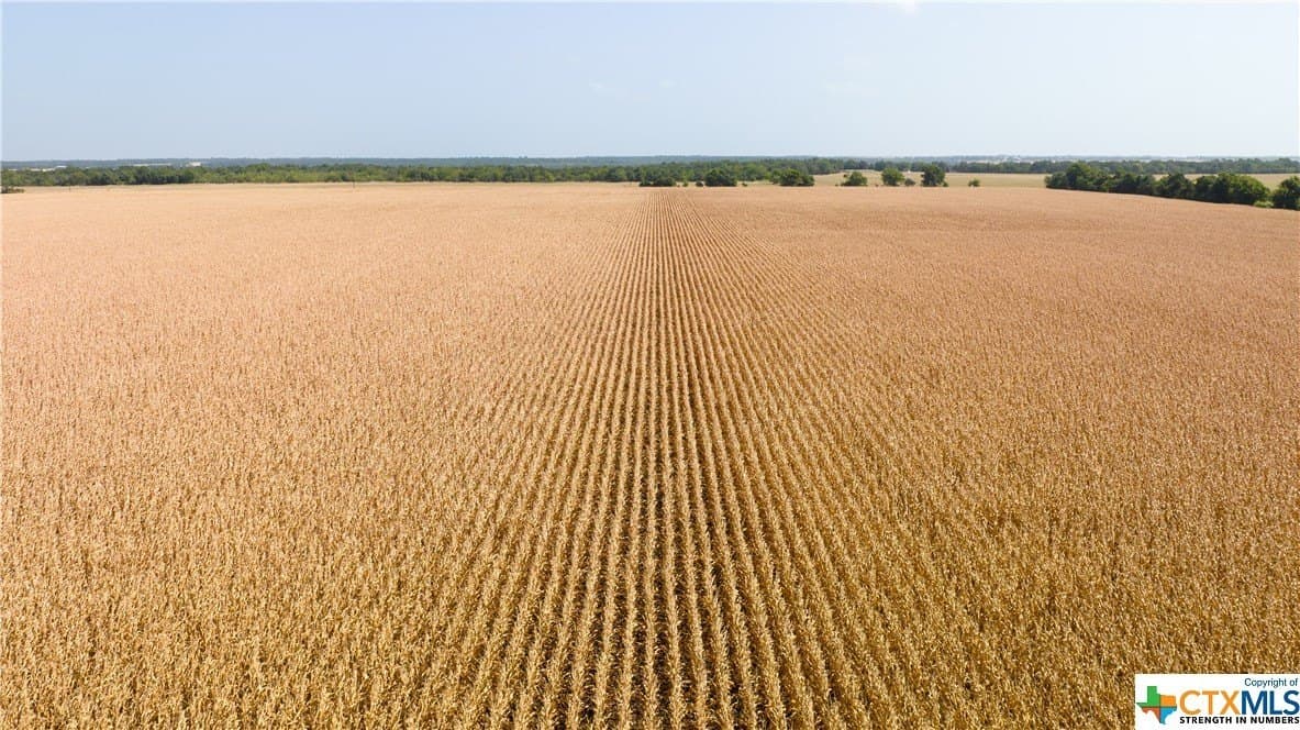 320 acres in Milam County - photo 14