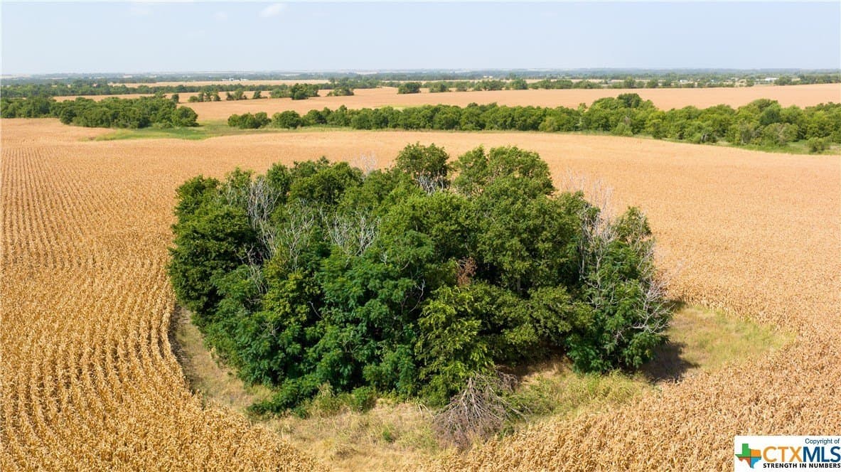 320 acres in Milam County - photo 16