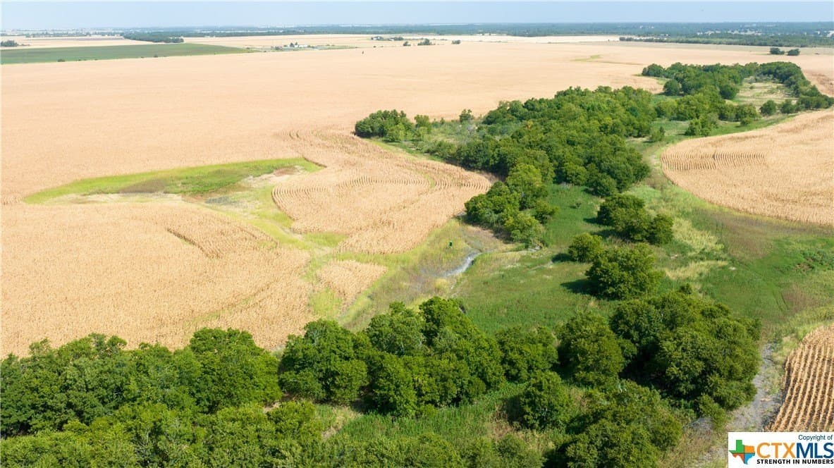 320 acres in Milam County - photo 5