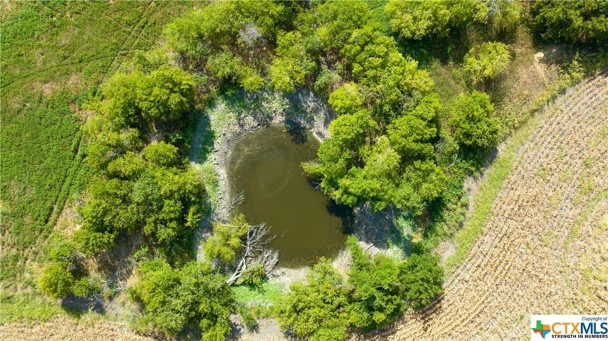 320 acres in Milam County - photo 15