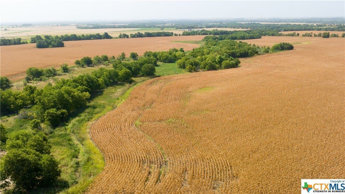 320 acres in Milam County - photo 18