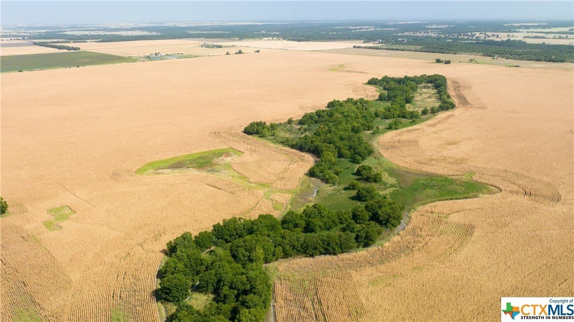 320 acres in Milam County - photo 7
