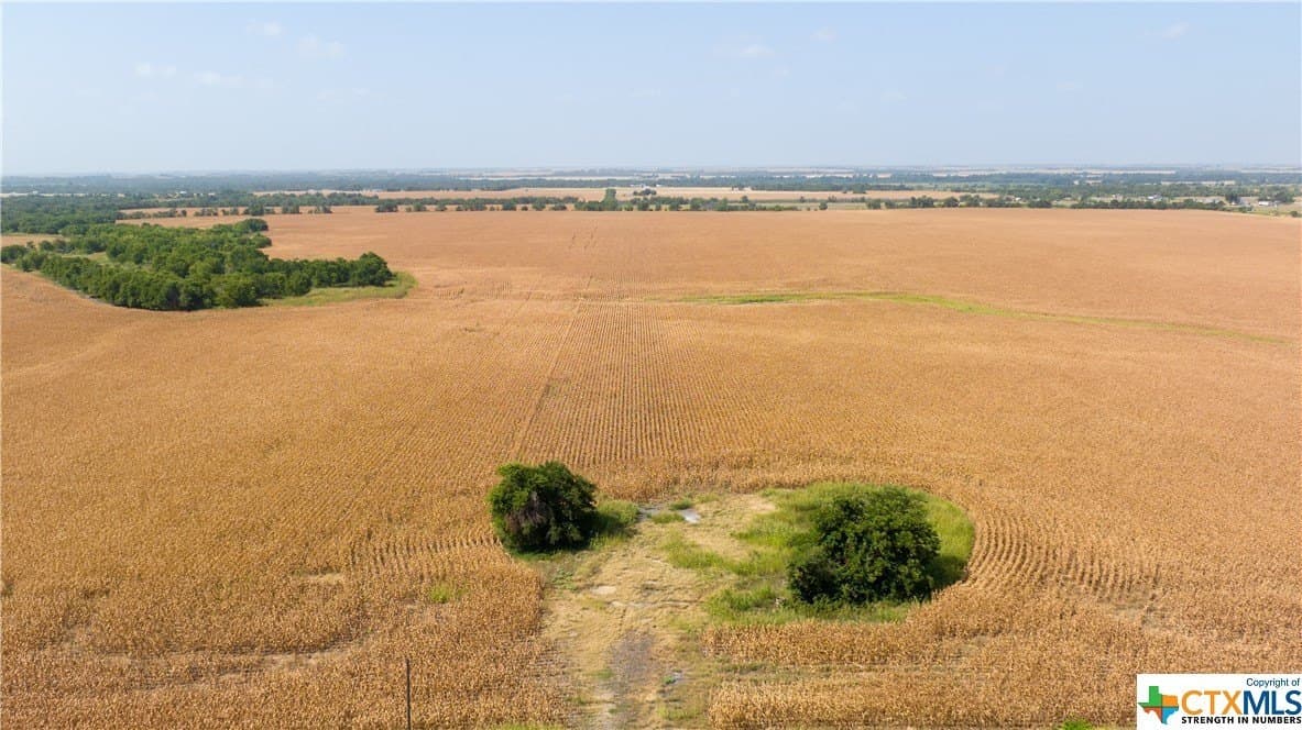 320 acres in Milam County - photo 21