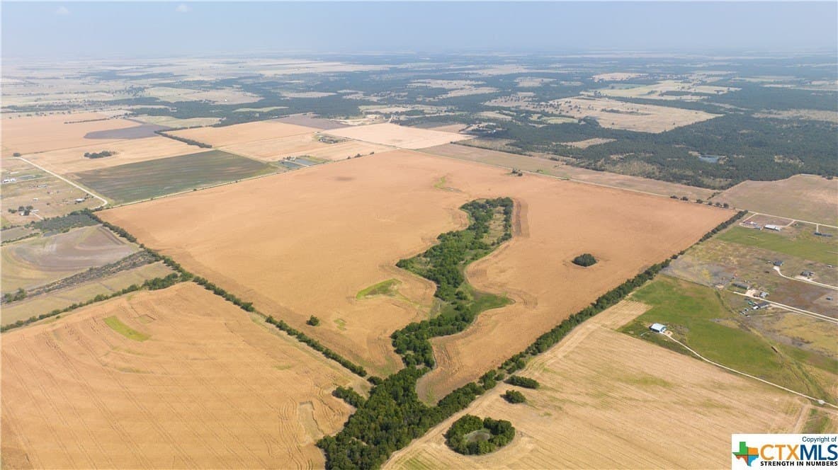 320 acres in Milam County - photo 11