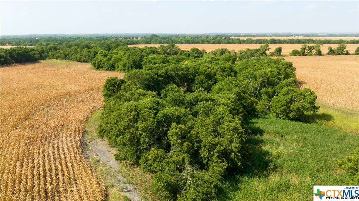 320 acres in Milam County - photo 4
