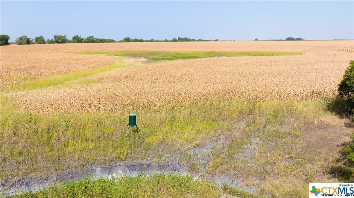 320 acres in Milam County - photo 12