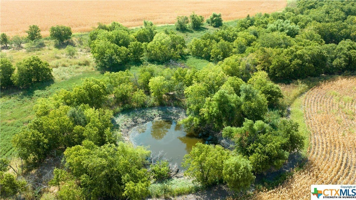 320 acres in Milam County - photo 3