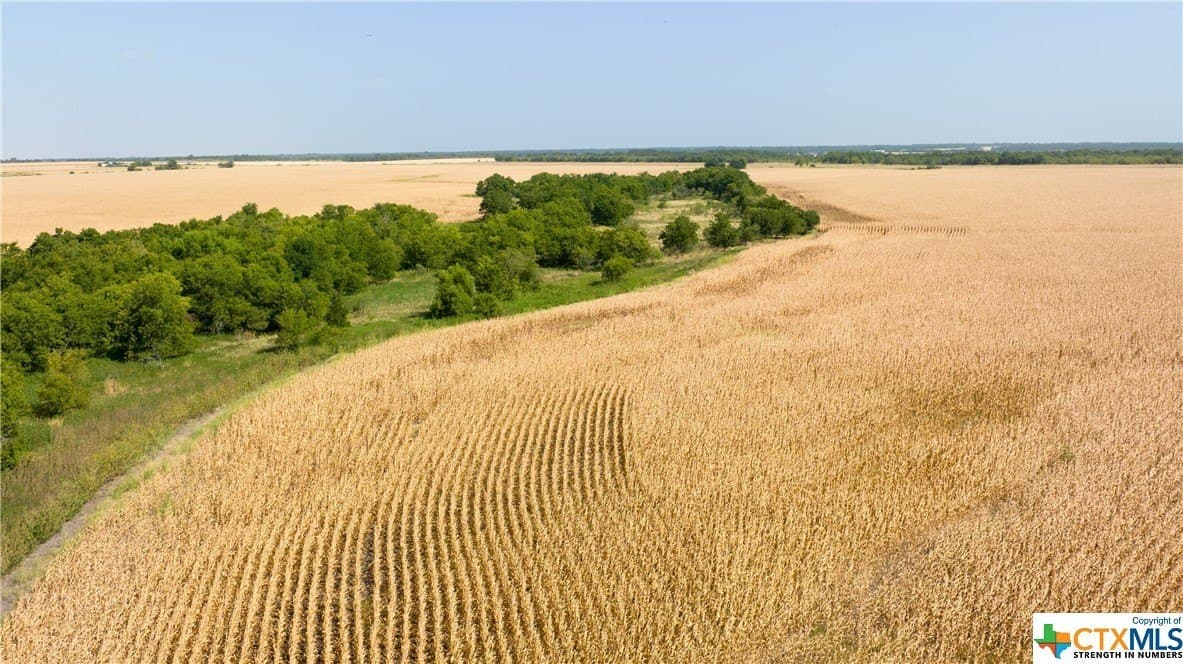 320 acres in Milam County - photo 13