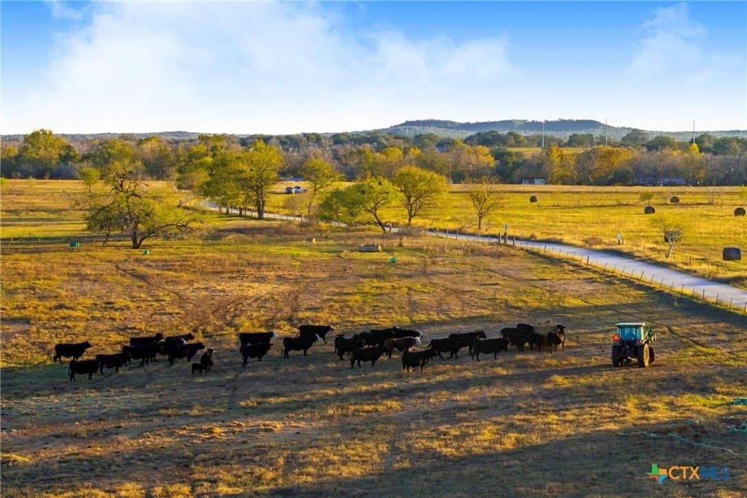 10.82 acres in Guadalupe County - photo 16