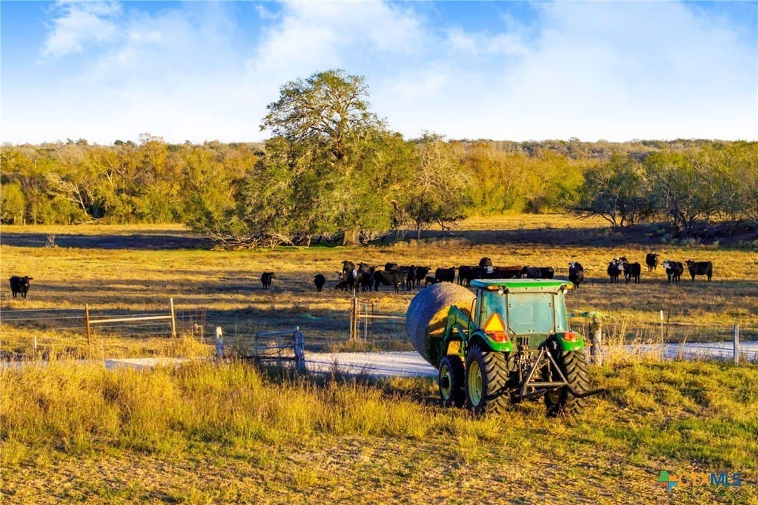 10.82 acres in Guadalupe County - photo 11