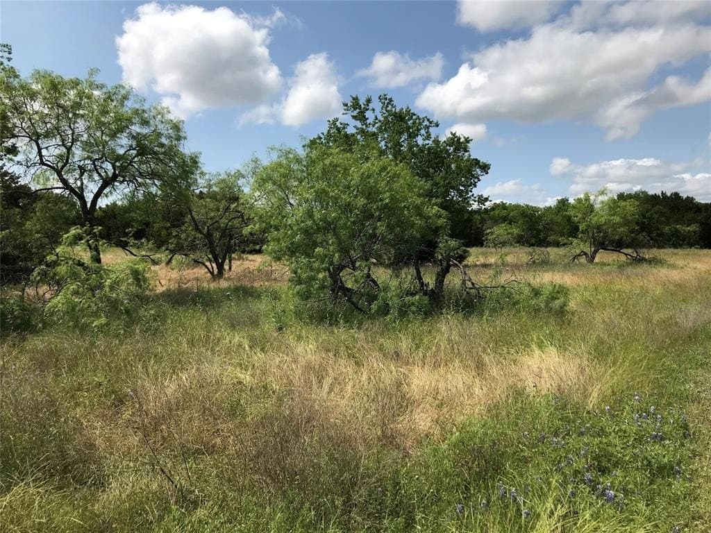 0.83 acres in Hill County - photo 4