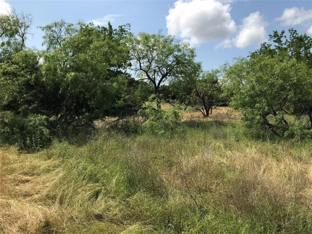 0.83 acres in Hill County - photo 2