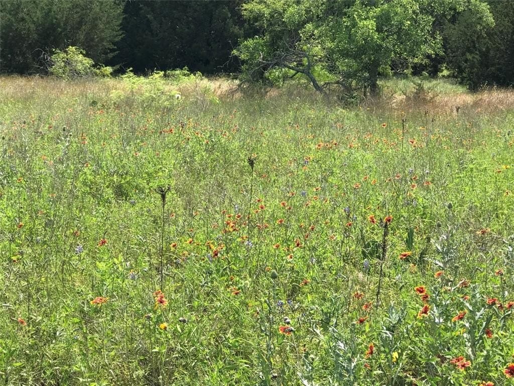 0.83 acres in Hill County - photo 30