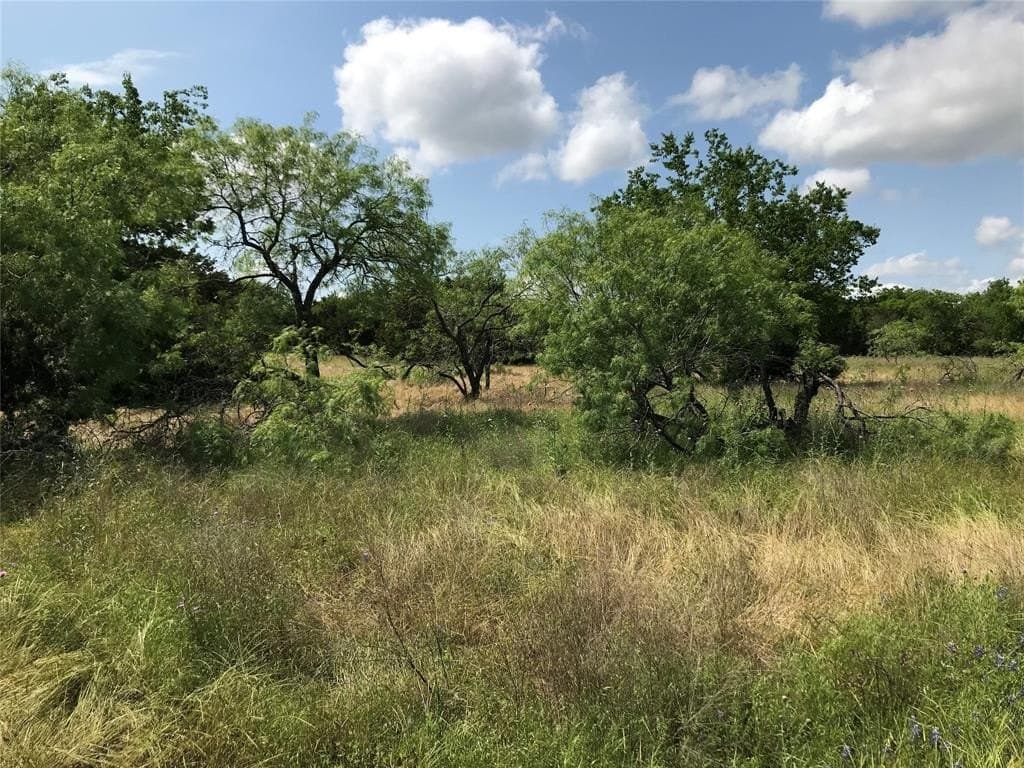 0.83 acres in Hill County - photo 3