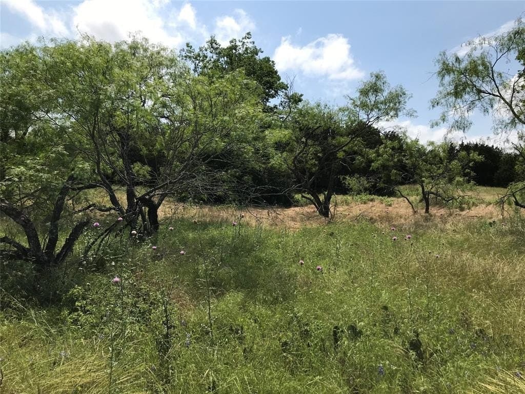 0.83 acres in Hill County - photo 6