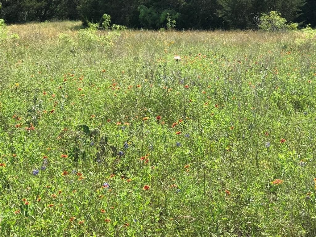 0.83 acres in Hill County - photo 31