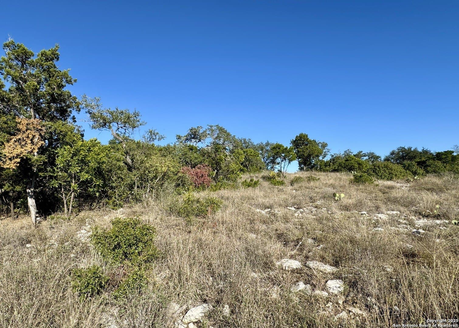 3 acres in Medina County - photo 11
