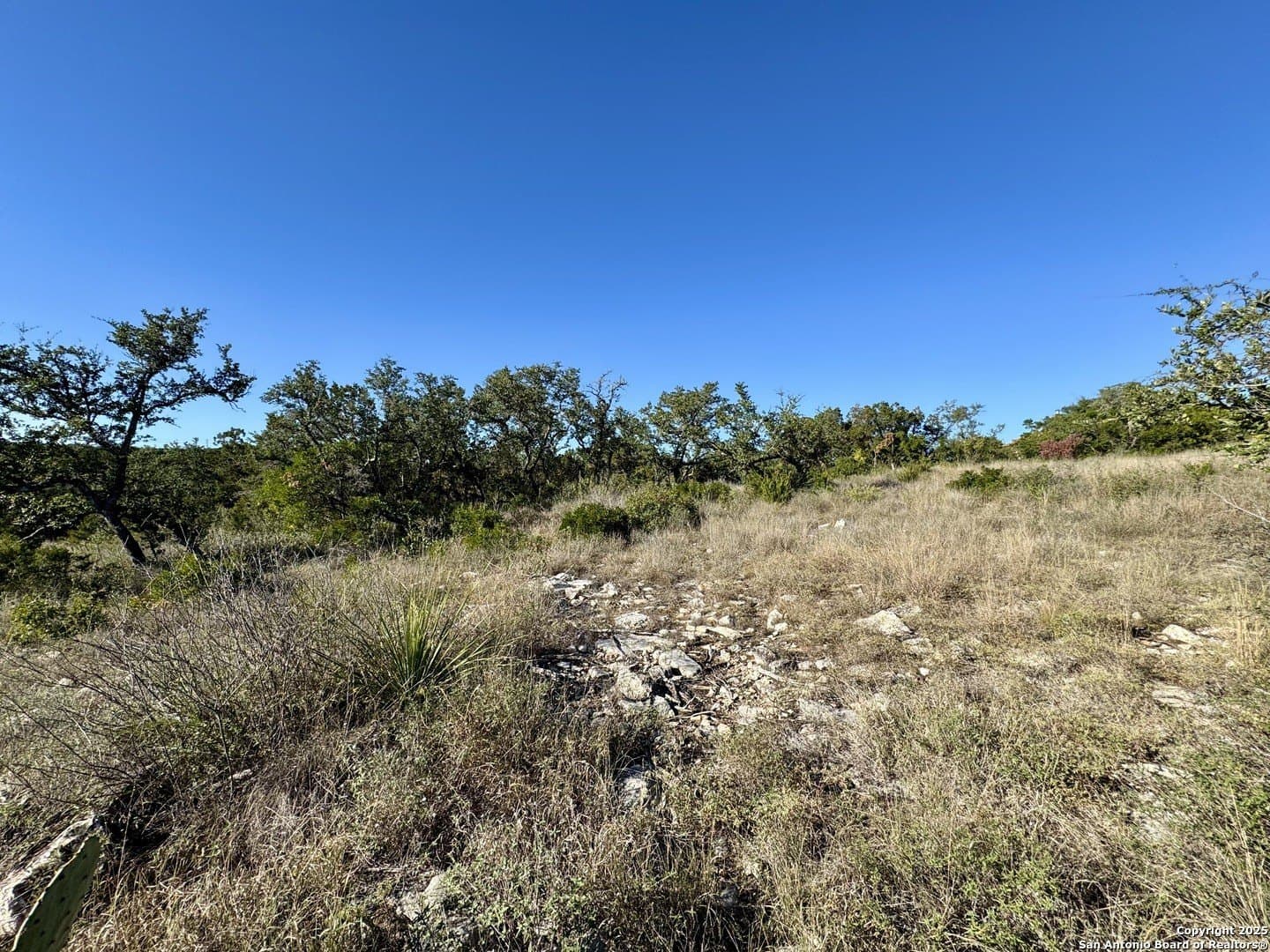 3 acres in Medina County - photo 17