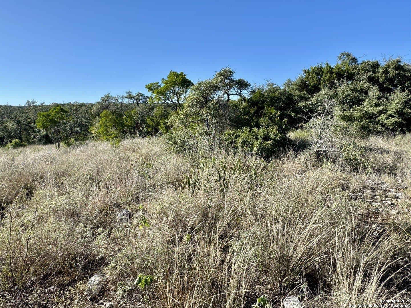 3 acres in Medina County - photo 5