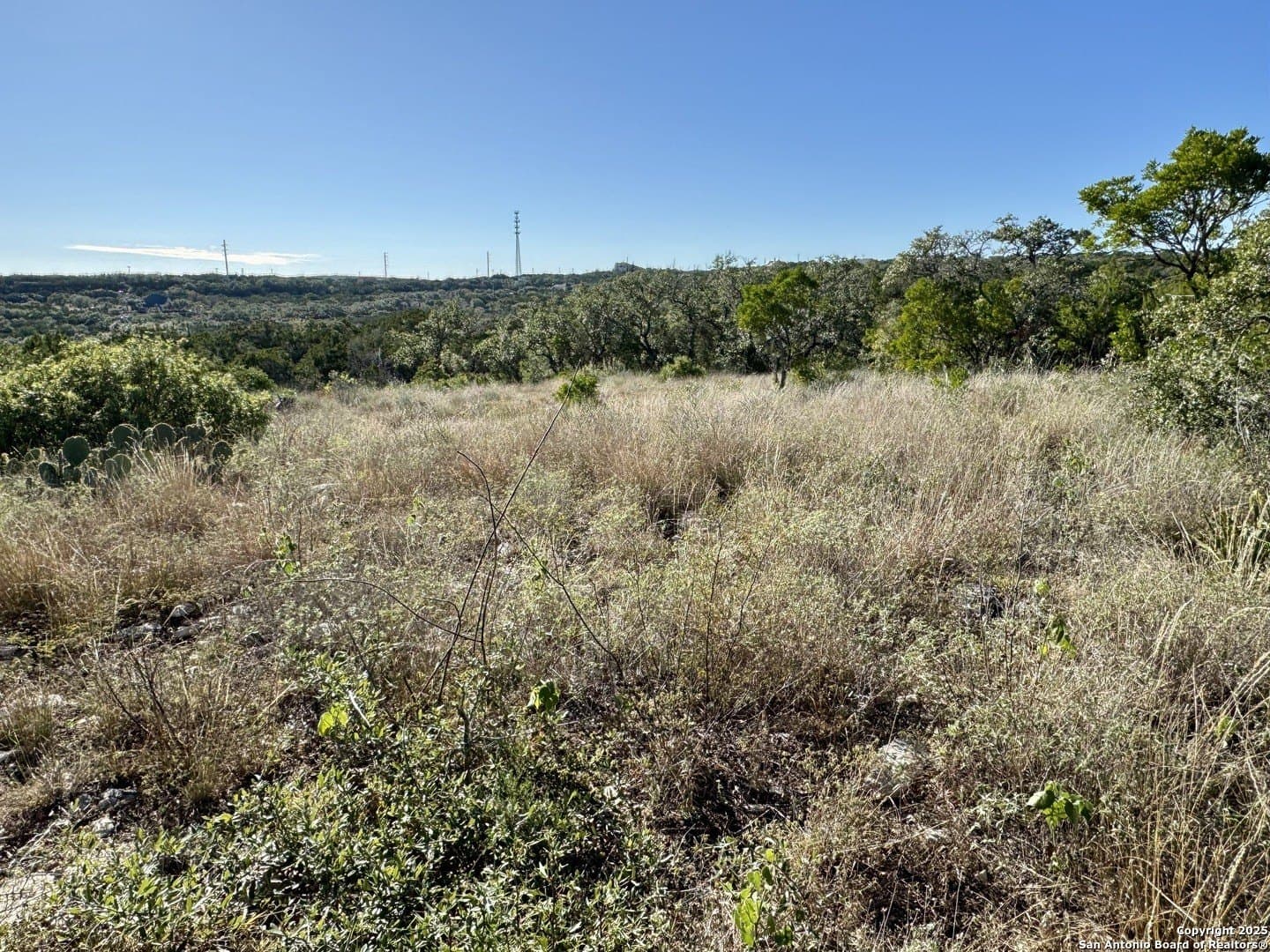 3 acres in Medina County - photo 3